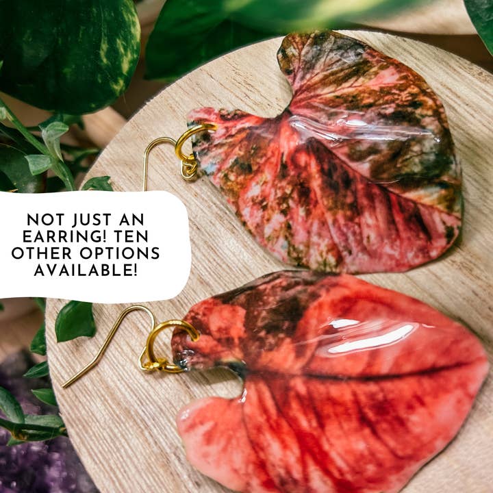 Syngonium Jordbær Ice Plant: Ørering, Magnet, Pin, Decor for engroshandel hos hethr