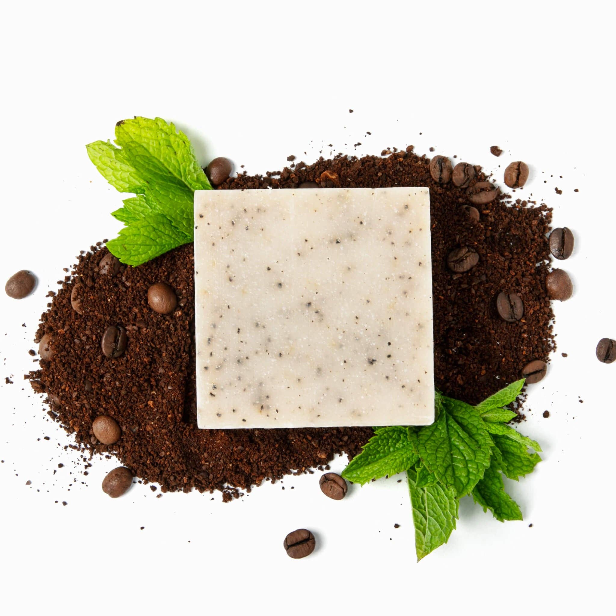 FORESTBORN - Wholesale Bar Soap - Mint Crush1