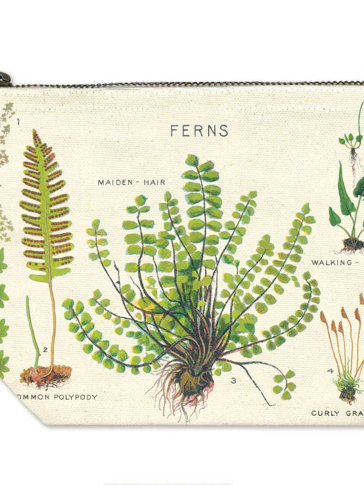 Cavallini Pouch - Ferns for wholesale by Cavallini & Co