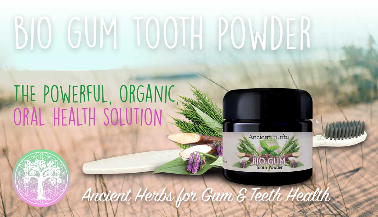 Ancient Purity – wholesale Toothpaste – Bio-Gum Tooth Powder - 30g | Gum Repair Herbal Blend1