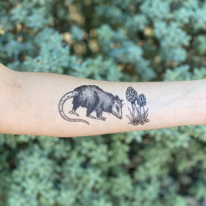NatureTats - Wholesale Temporary Tattoo - Opossum Temporary Tattoo5