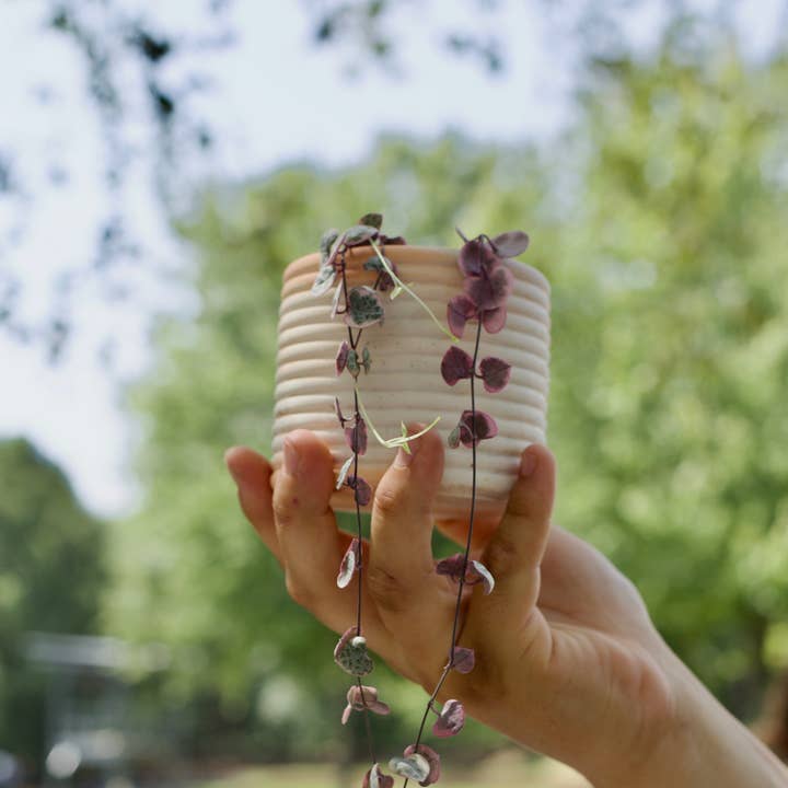 The Plant Committee - Wholesale Plant pot - Concrete Candle Jar/Planter Ridge Vessel1