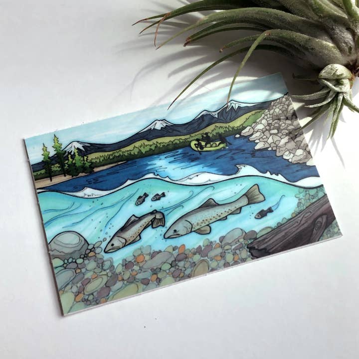 Michele Michael Art - Wholesale Sticker - Protect the Deschutes sticker1