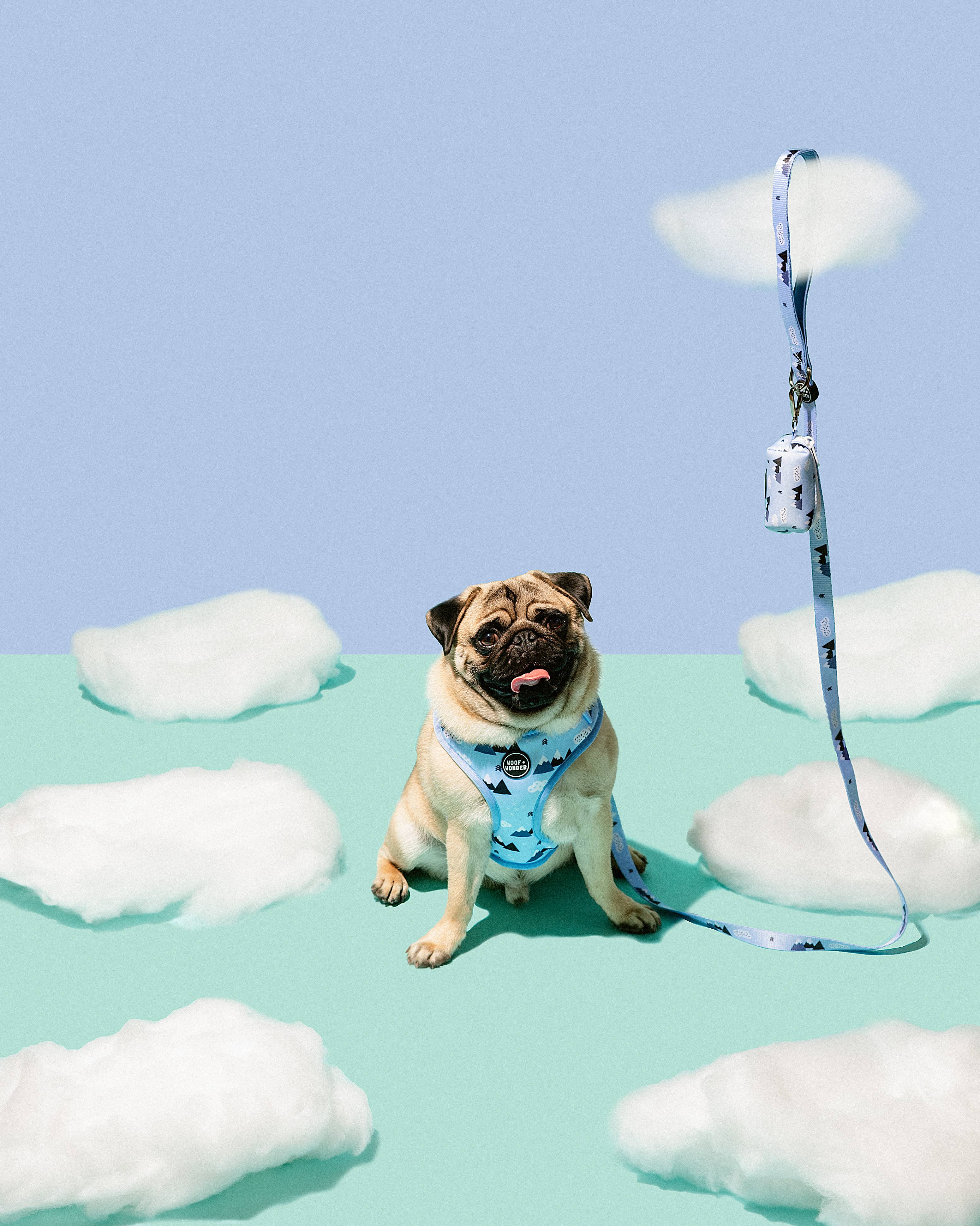 Woof & Wonder - Wholesale Pet Harness - Dog - Sky Blue Hiking Mountain and Clouds Adjustable Dog Harness3