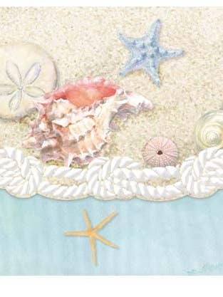 Sea Shell Embossed, Die-Cut Boxed Portfolio Note Ca NCP2343 for wholesale by Carol Wilson Fine Arts Inc./For Arts Sake