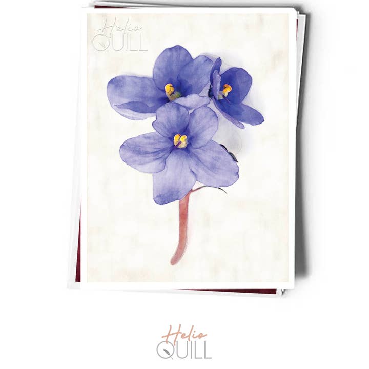Flowers Greeting Card 12 Pack for wholesale by Helio Quill