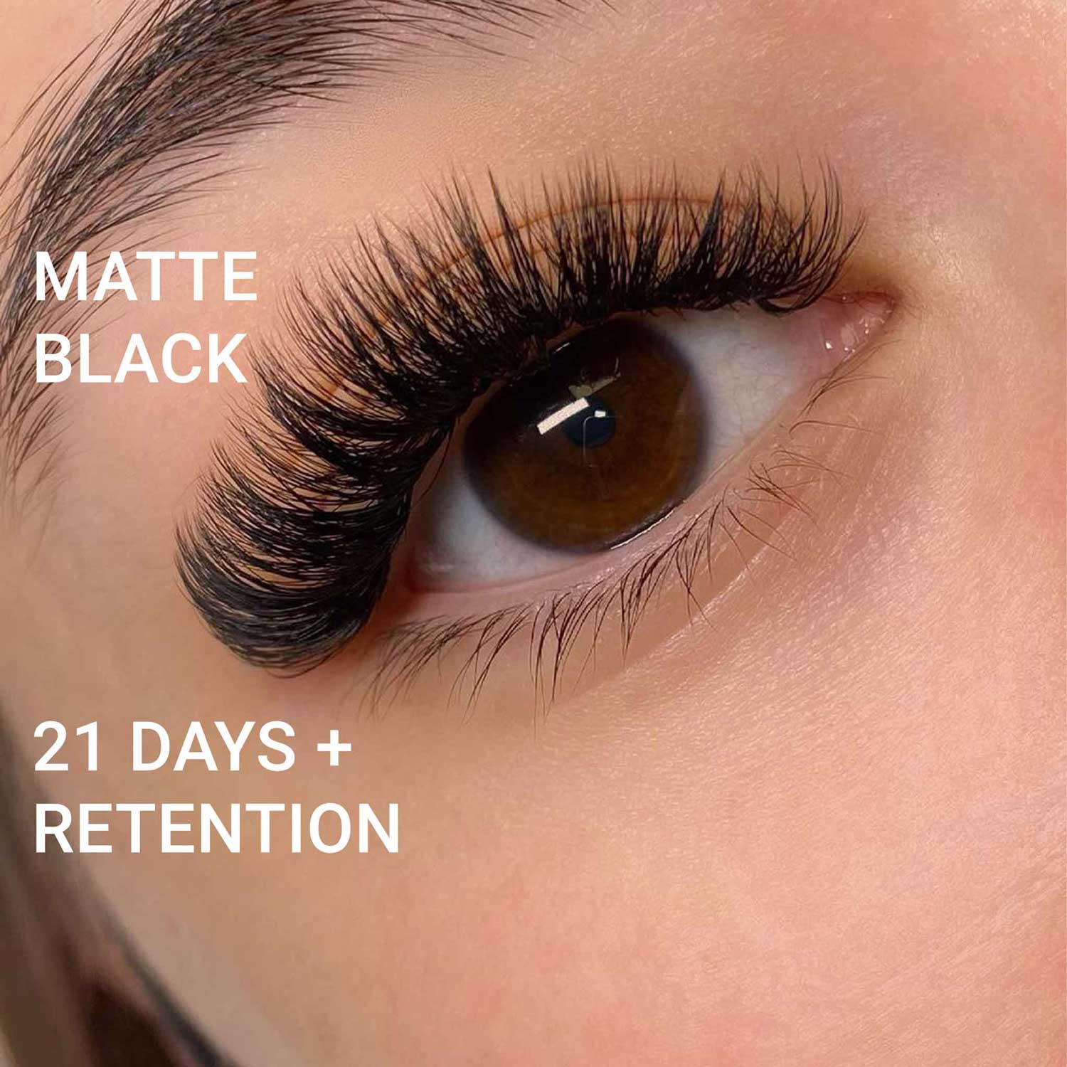 Eyesy Lash - Vente Faux cils - Ventilateurs 12D Promade et Narrow | 2,5 ¢/ventilateur | 0,03 ,05 | 500 ventilateurs4