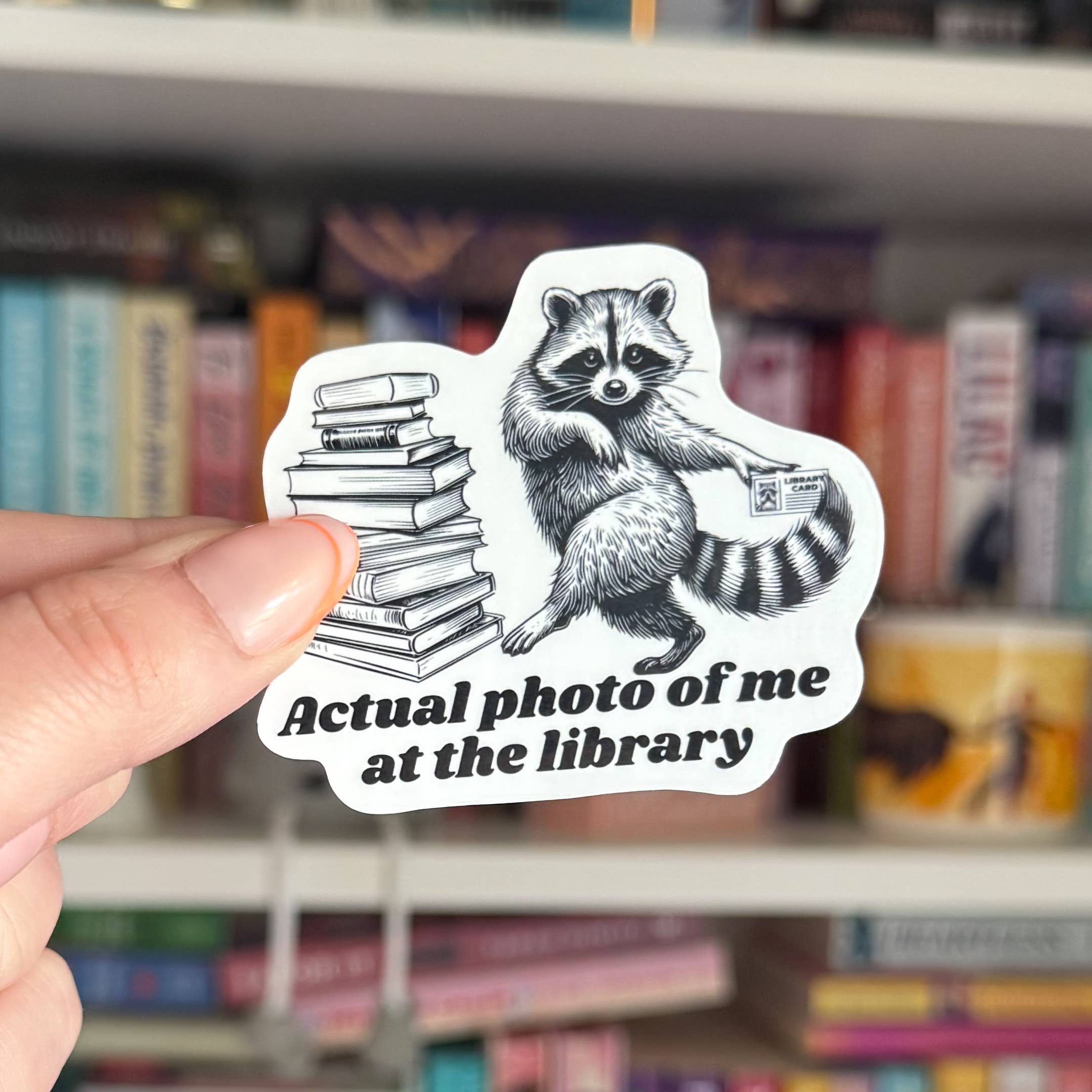 Crafty Baker Designs - Wholesale Sticker - Raccoon at the library sticker