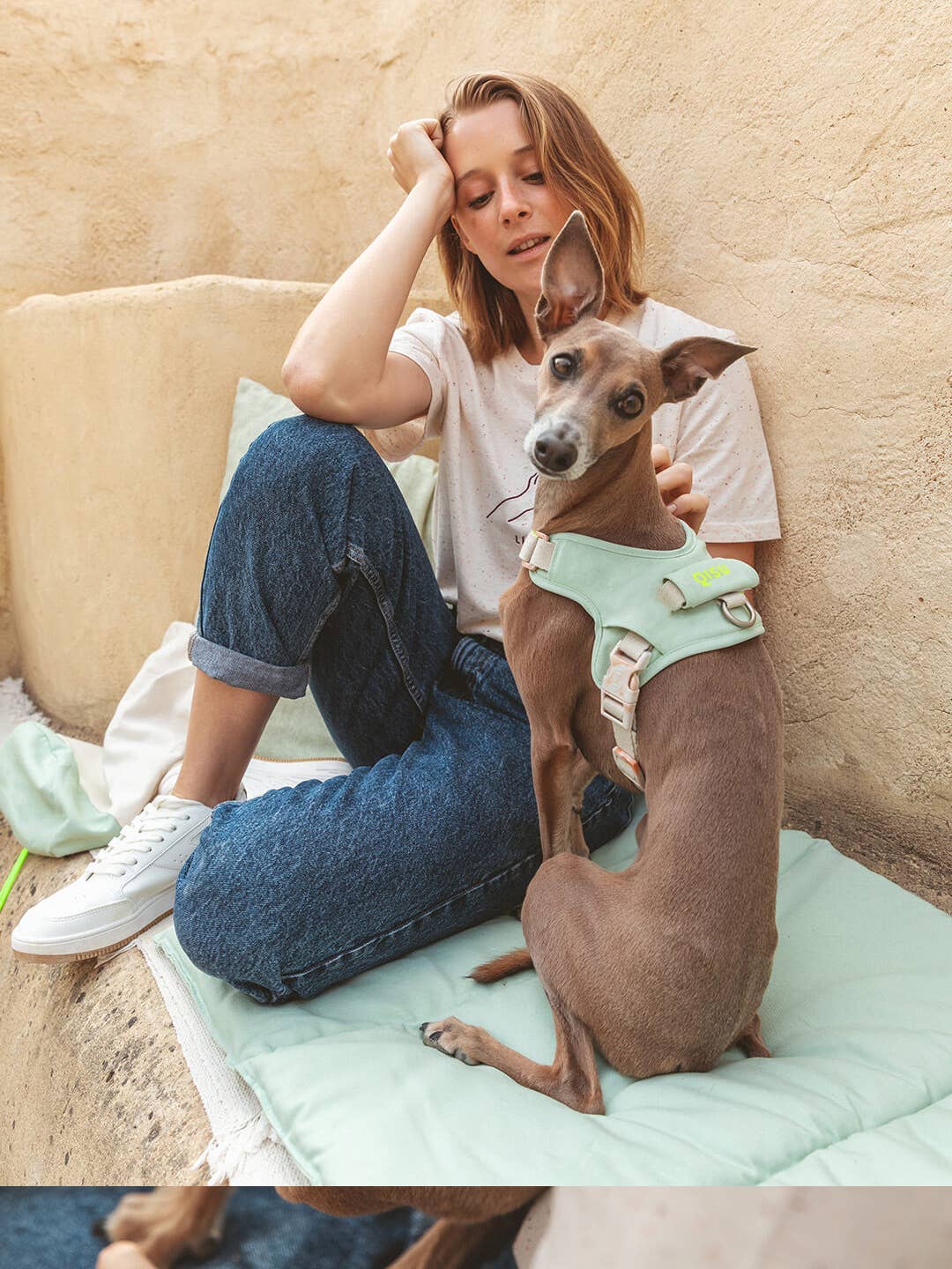 Qisu - Wholesale Pet Harness - Dog - Dog harness | Hug Harness15