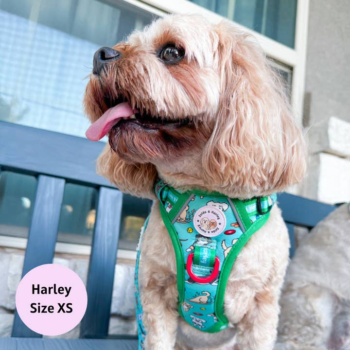 Zelda & Harley | The Dog Mom Store - Wholesale Pet Harness - Dog - Zoomies 2.0 - Adventure No Pull Harness