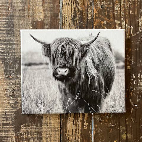 Highland canvas art print, Black and White photography decor for wholesale by Rustic Nester