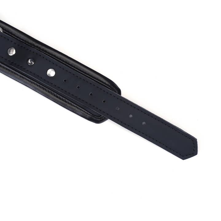 Liebe Seele - Wholesale Pet Collar - Cat/Dog - Vegan Fetish Collar and Leash with Stud