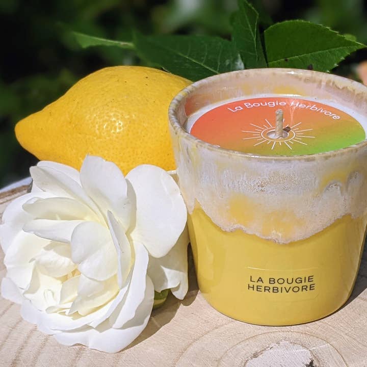 Vela Perfumada Sandía Melón | LA BOUGIE HERBIVORE y otras tendencias de Resultados para velas df al por mayor. Devoluciones gratuitas y condiciones de pago a 60 días en Faire en Faire.