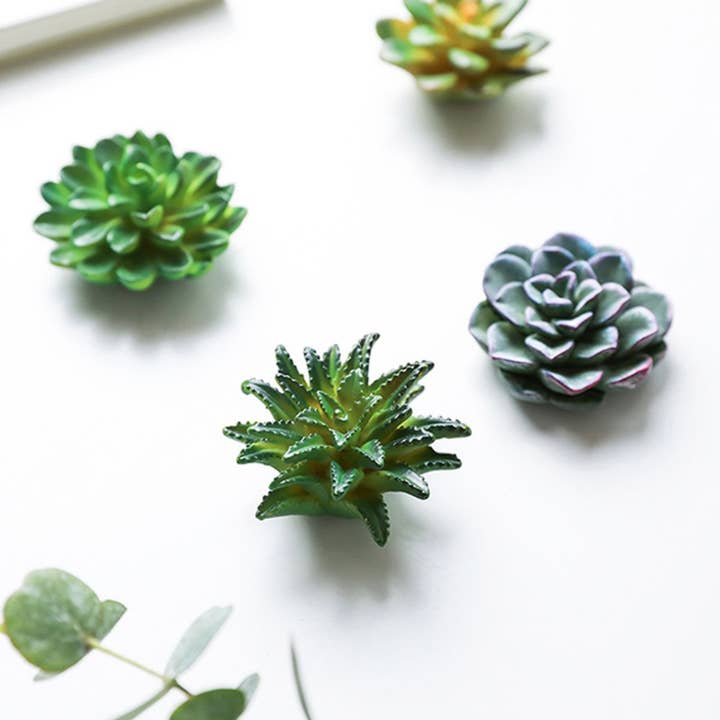 Woodbe Co - Wholesale Magnet - Mini 3D Succulent Resin Magnets5