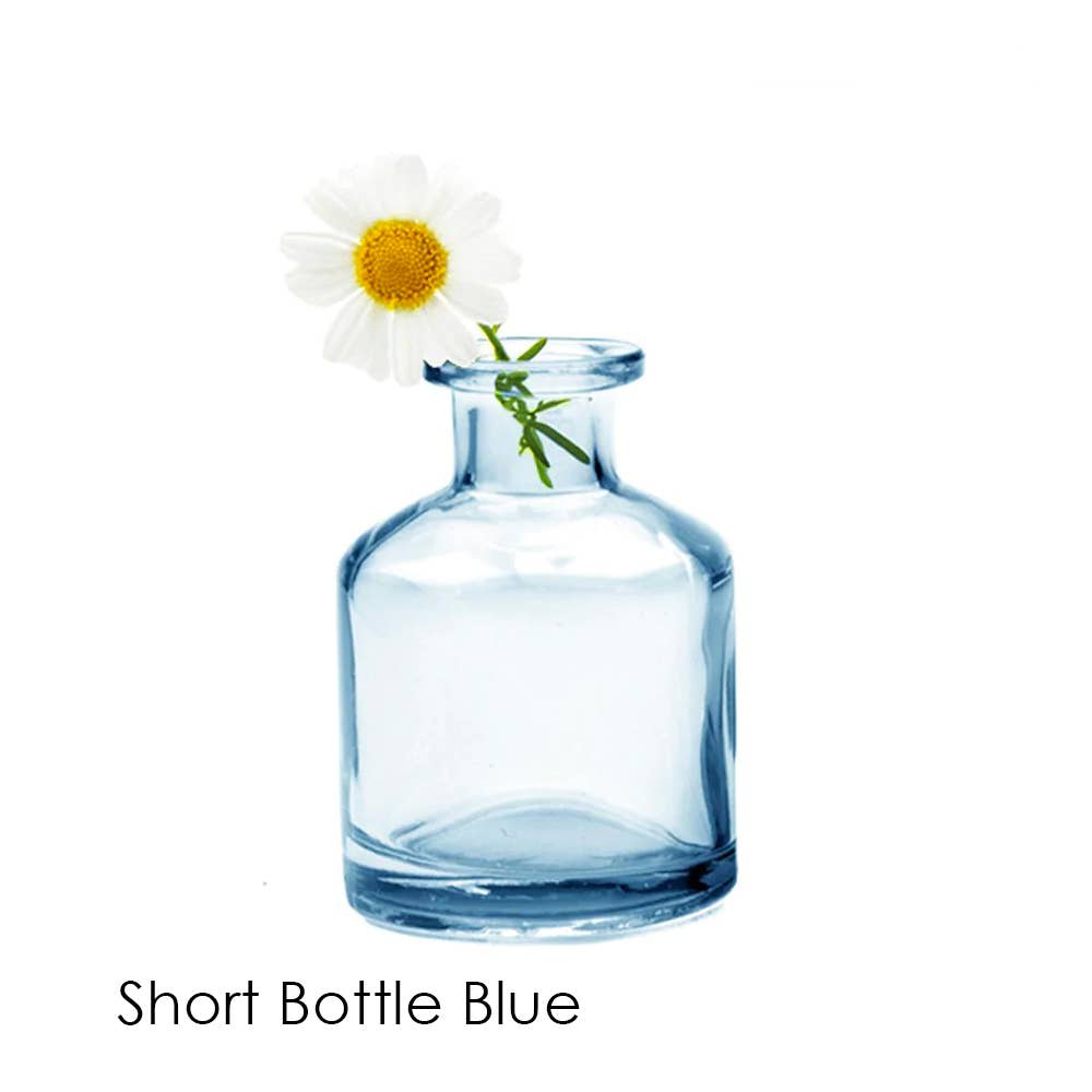 Chive - Wholesale Vase - Loft  Colorful Transparent Bud Vase Set Oval, Round, Square2