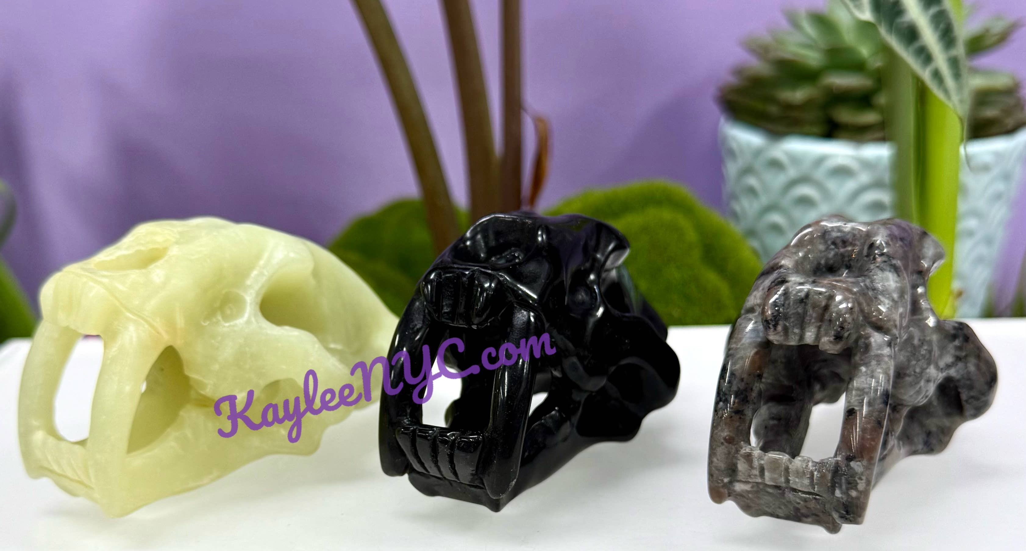 KayleeNYC - Wholesale Spiritual Stone/Crystal - 9cm Mix Natural Crystals Saber Tooth Skull Healing3