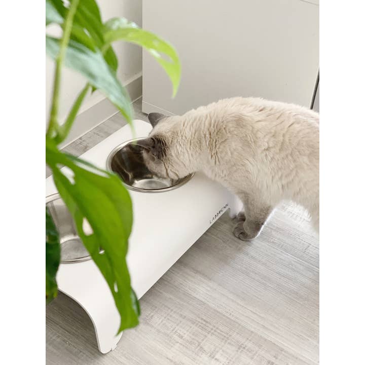 Labbvenn - Wholesale Pet Bowl - Cat/Dog - Rico Ffeder18