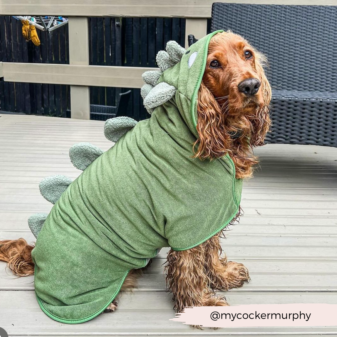 Cocopup London - Wholesale Pet Hoodie - Dog - Dinopup Drying Robe16