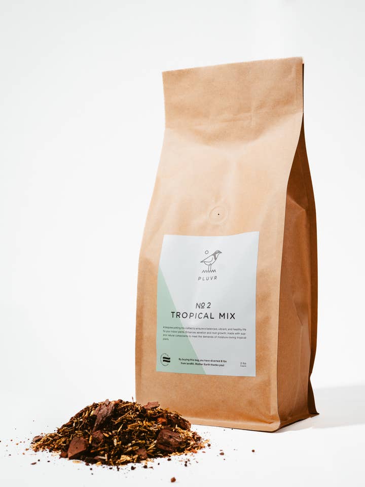 No. 4 Tropical Aroid Mix for wholesale by Pluvr