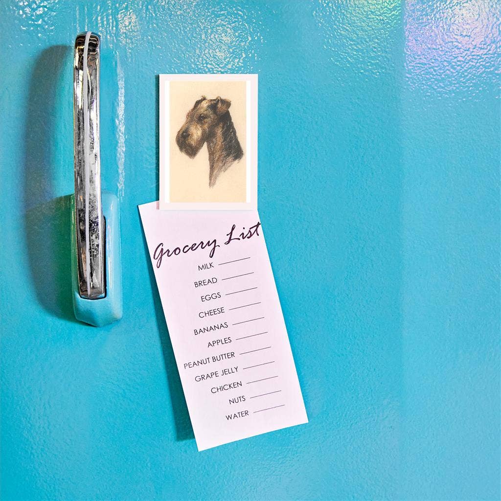 Found Image Press - Wholesale Magnet - Magnet DG-182 Airedale1