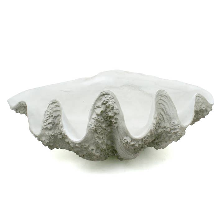 Modern Coastal by Contrast Inc. - Venta al por mayor Bandejas/platos/boles decorativos - Cuenco decorativo XL Gigas con forma de concha de almeja con percebes