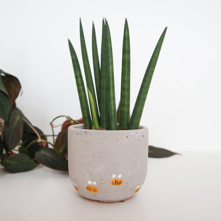 The Plant Supply - Wholesale Plant Pot - Bell Planter Painted - 3" | Bees, Arch, Daisy, Chilis