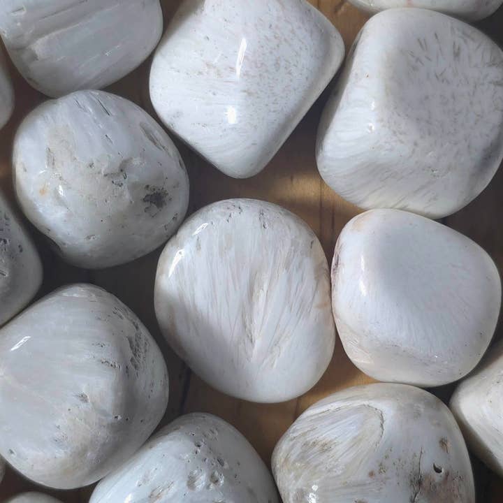 Scoecite Tumble - 1-6 LB Lots for wholesale by Jensen Rocks