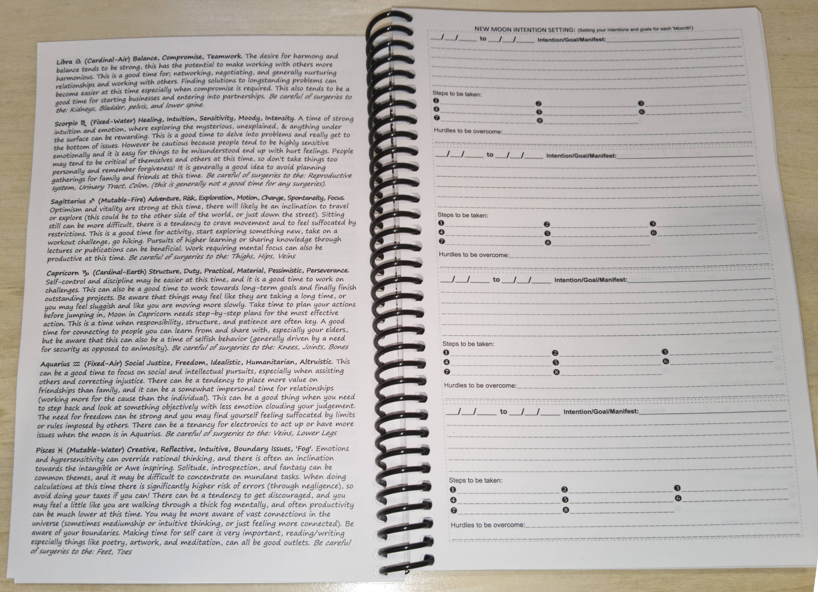 BeeGreen & CraftsPlannersPlus - Wholesale Journal/Diary - Lunar Journal / Moon Journal / undated [Spiral Bound]4