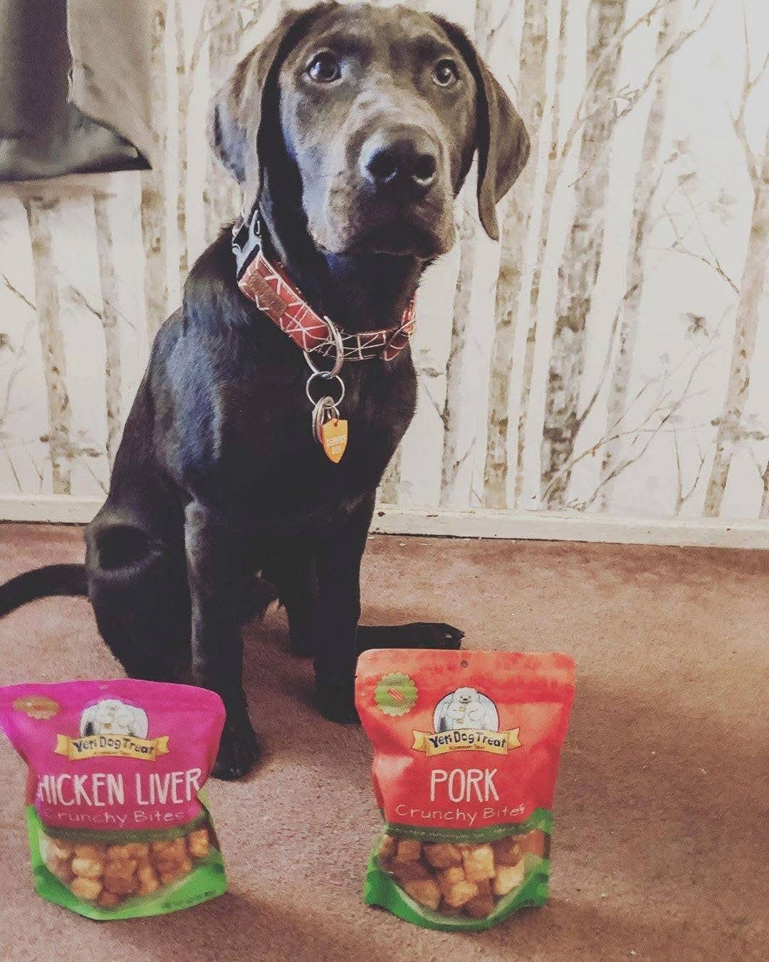 Yeti Dog Chew - Wholesale Pet Treats - Dog - Yeti Chicken Liver Crunchy Bites Himalayan Yak Cheese Dog Tr5