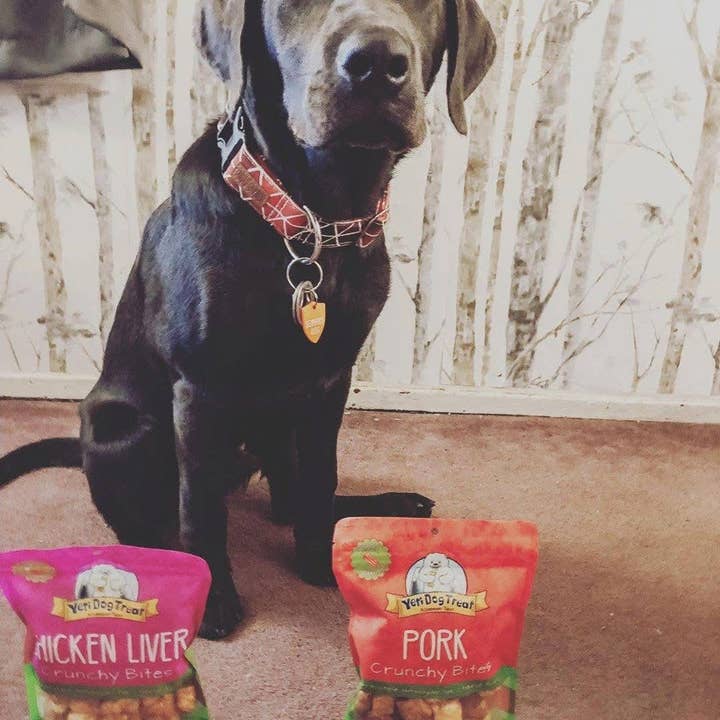 Yeti Dog Chew - Wholesale Pet Treats - Dog - Yeti Chicken Liver Crunchy Bites Himalayan Yak Cheese Dog Tr5