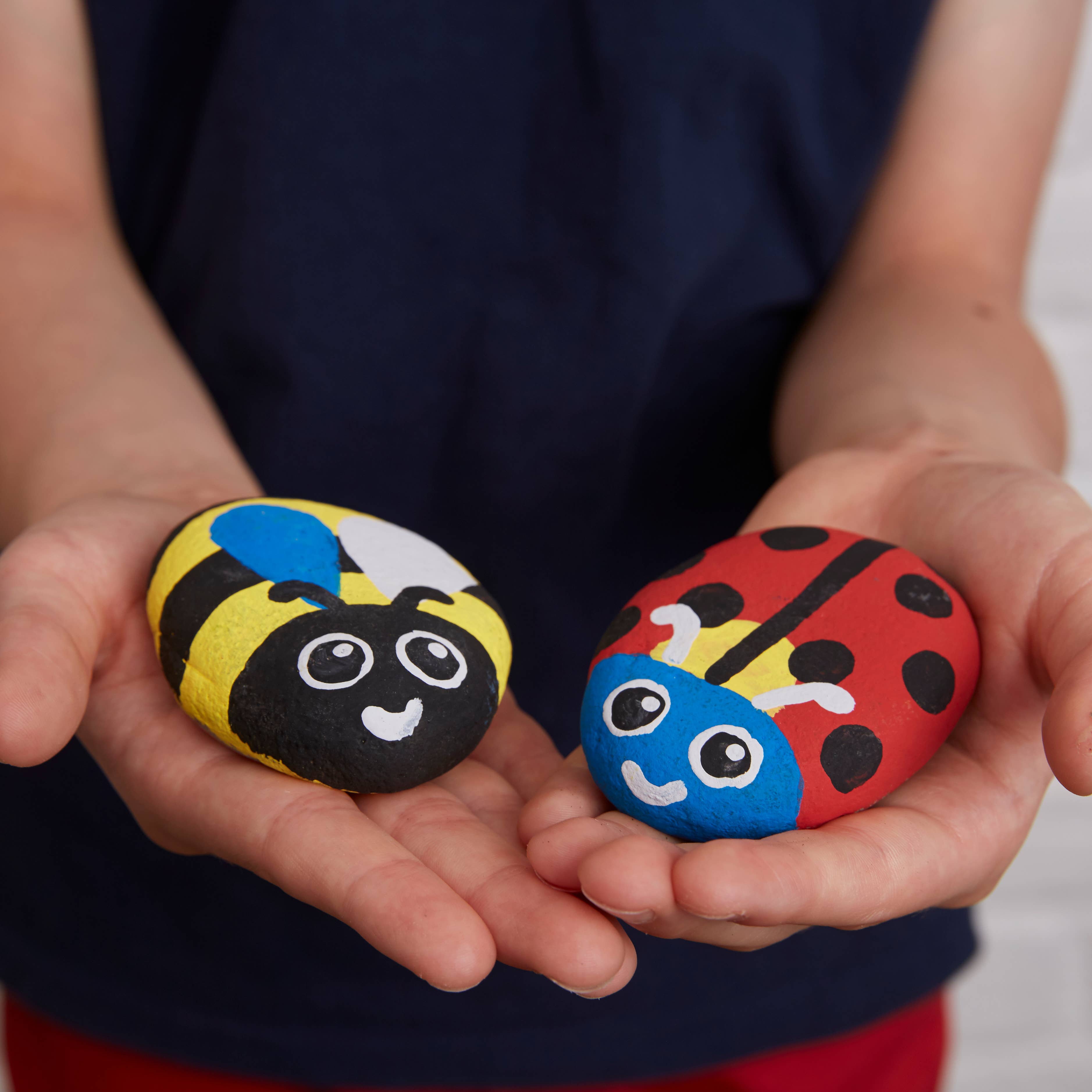 West Design Products – wholesale DIY craft kit – Child – Royal Horticultural Society Rock Painting Kit - Bugs6