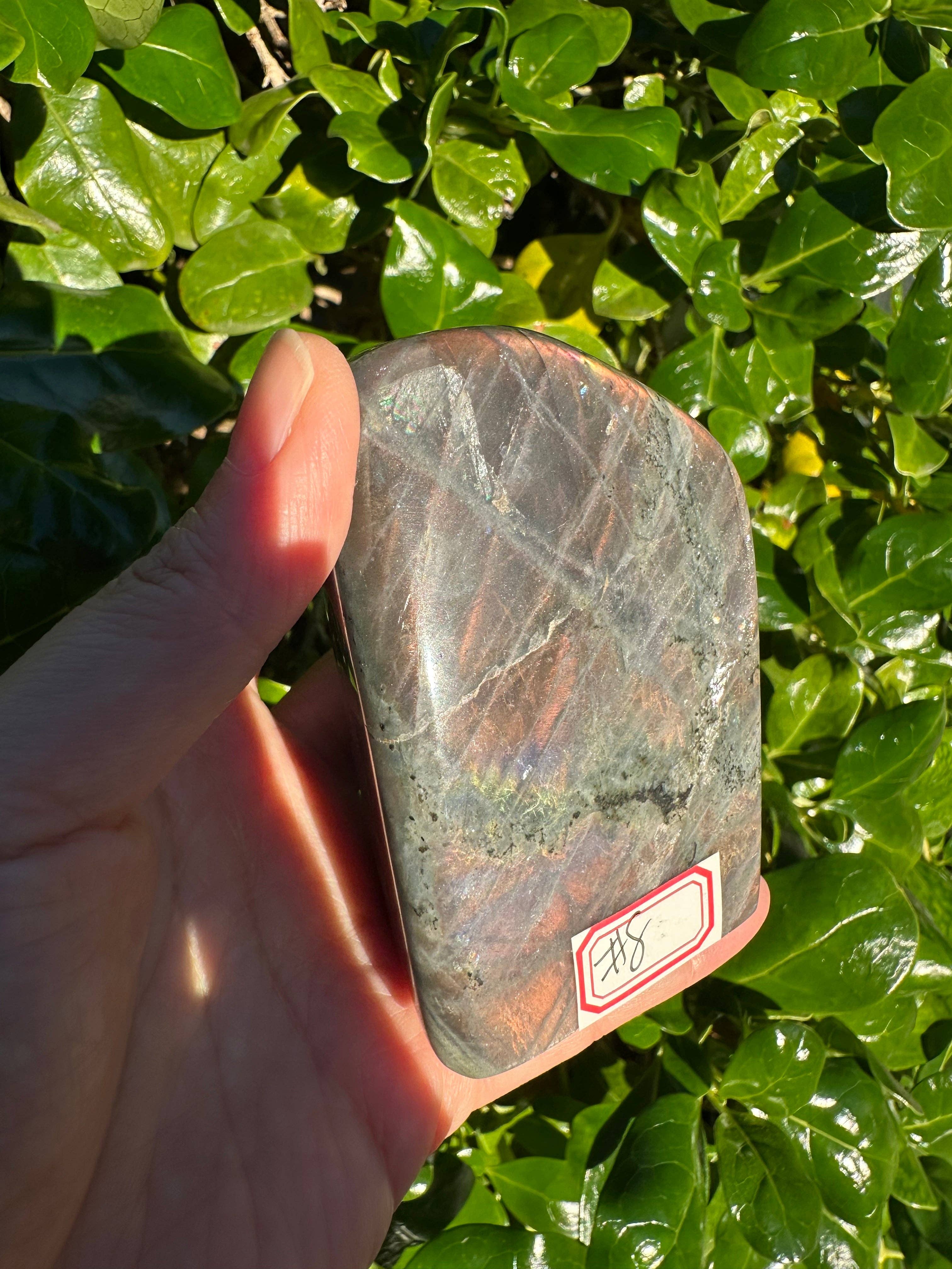 Moon Rituals – wholesale Spiritual stone/crystal – Large Purple Labradorite Free Form, Christmas Crystal Gift #88