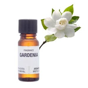Amphora Aromatics Gardenia Fragrance 10ml for wholesale by Beauty Goddess