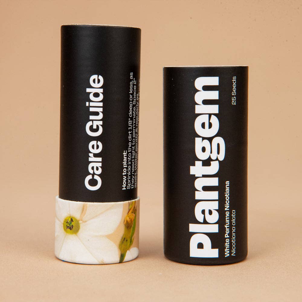 Plantgem - Wholesale Plant Seeds - White Perfume Nicotiana - 50 Seeds3