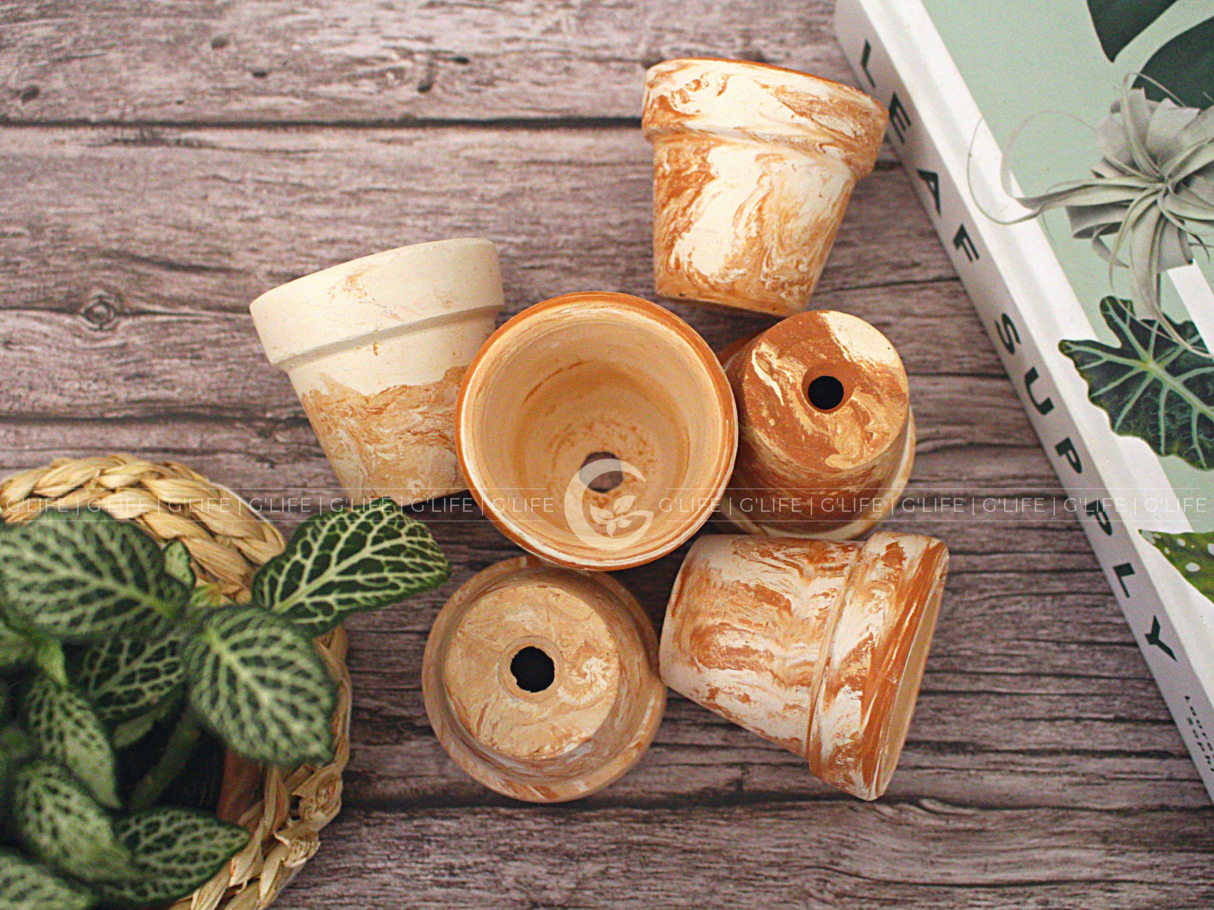 GLifee - Wholesale Plant Pot - 2" Tiny Terracotta Clay Plant Flower Pot - Drainage Hole28