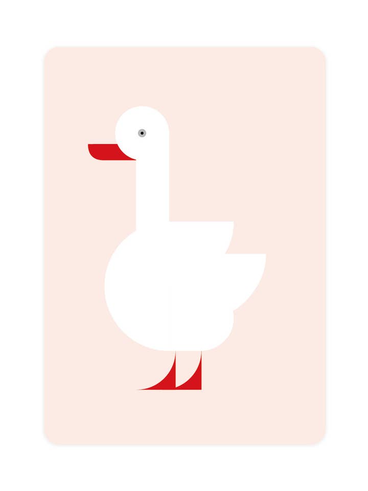 Postcard with Coscoroba swan for wholesale by Eendje
