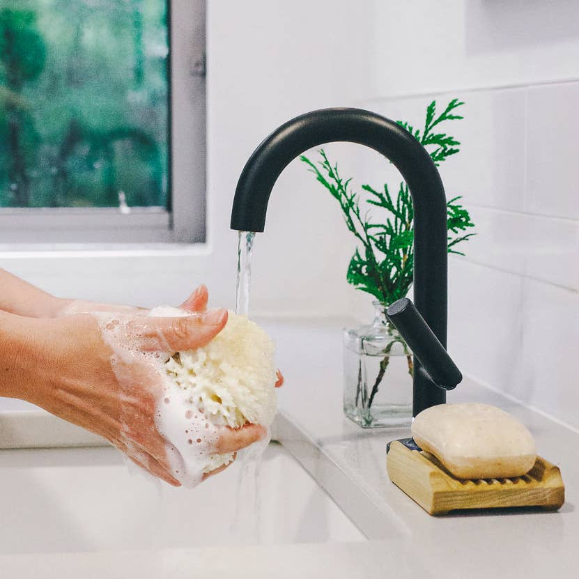 Baudelaire – wholesale Bath pouf/sponge – Bath Sea Sponge Gift Box - Large 5.5"1