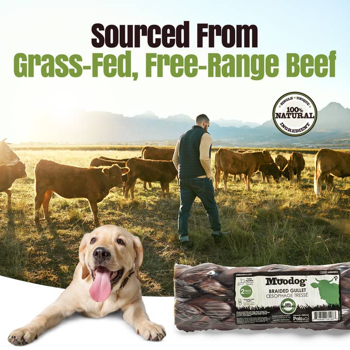 Palz&Co - Wholesale Pet Treats - Dog - Moodog Beef Braided Gullet 8" - Pack of 26
