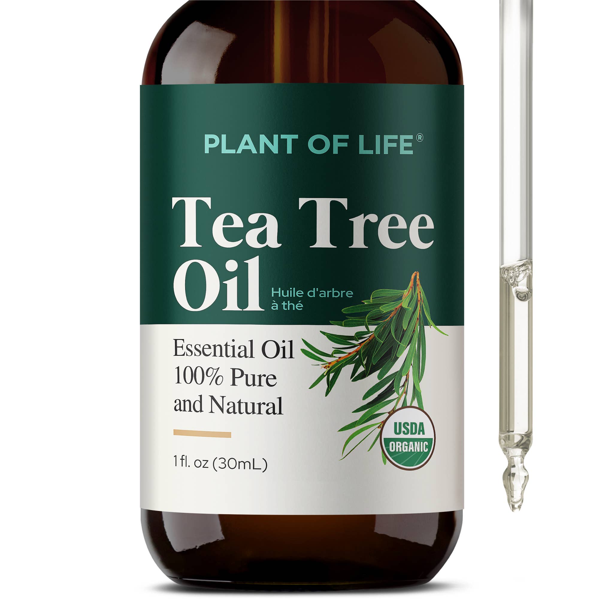 Plant of Life - Wholesale Essential Oil - Tea Tree Oil for Aromatherapy, Skincare and Haircare | Sizes8