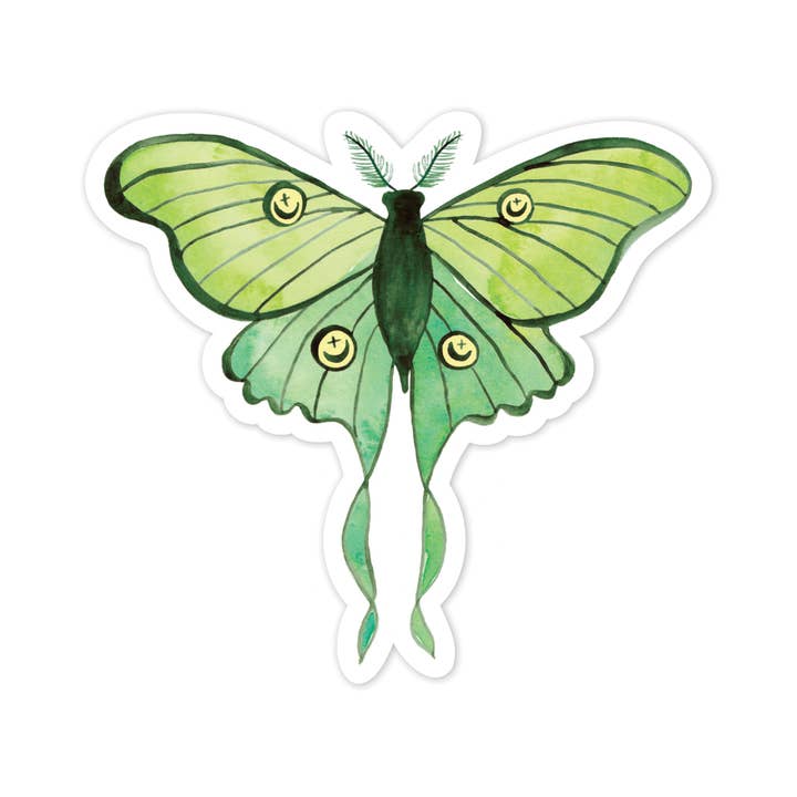 Luna Moth Sticker for wholesale by littlehoothoot