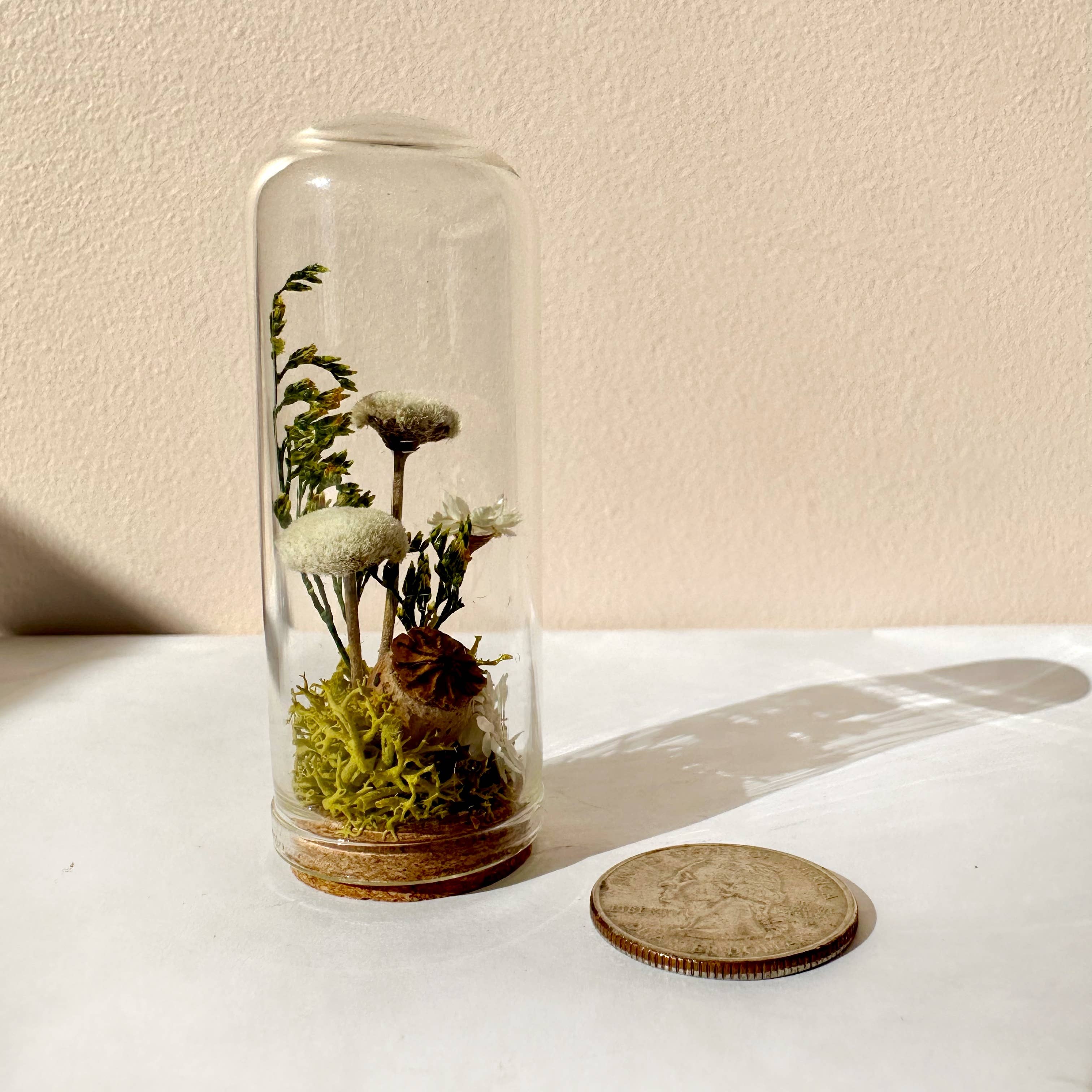 CA Studios - Wholesale Terrarium - Flower Forest Mini Glass Cloche Terrarium w. Dried Florals5