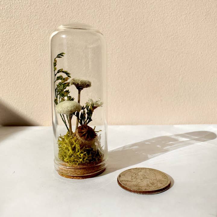CA Studios - Wholesale Terrarium - Flower Forest Mini Glass Cloche Terrarium w. Dried Florals5