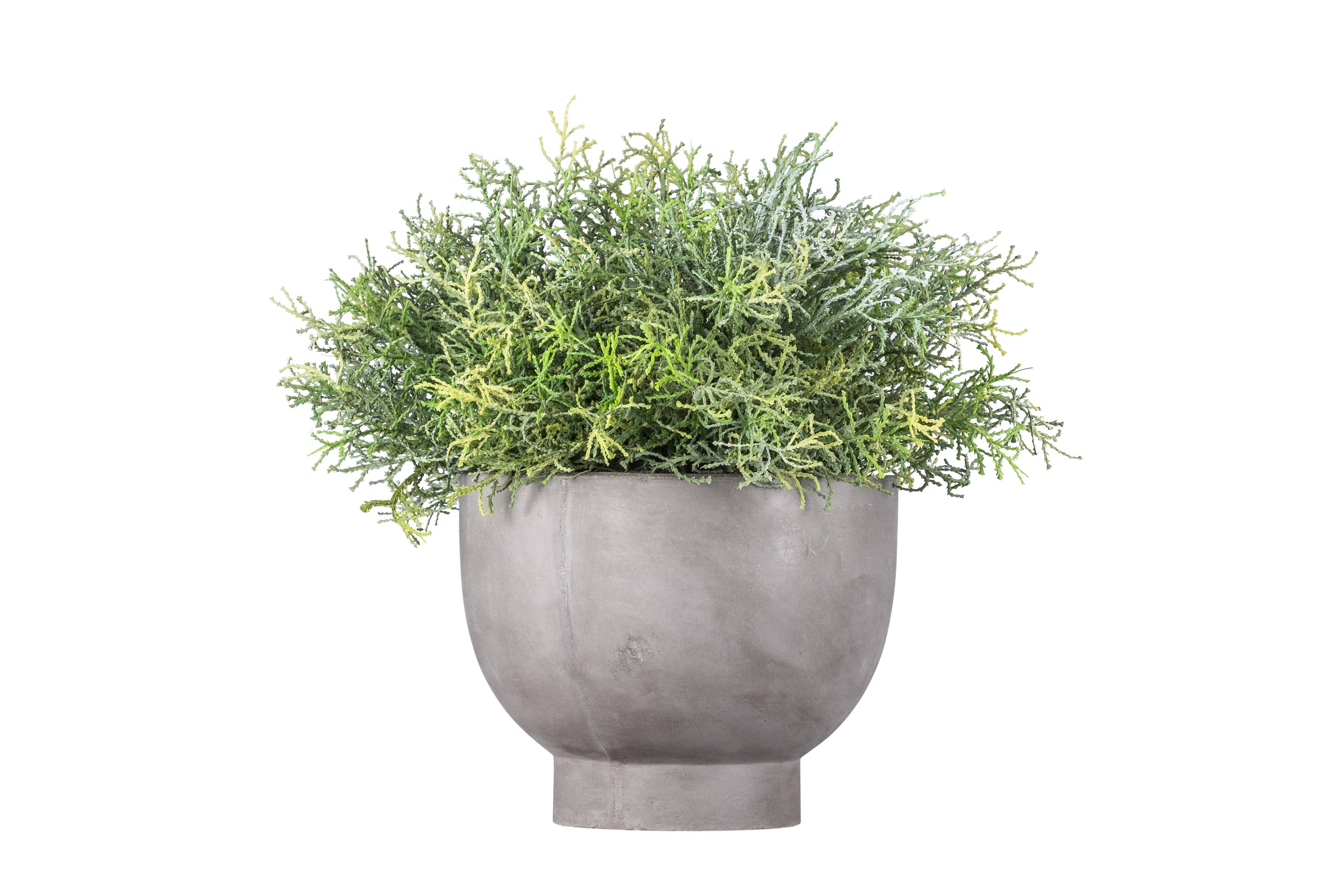 Replica Plants and Decor - Wholesale Plant Pot - Mack Collection Compote Bowls   CN10070