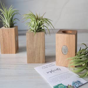 Handcrafted Wooden Magnet Air Plant Holder