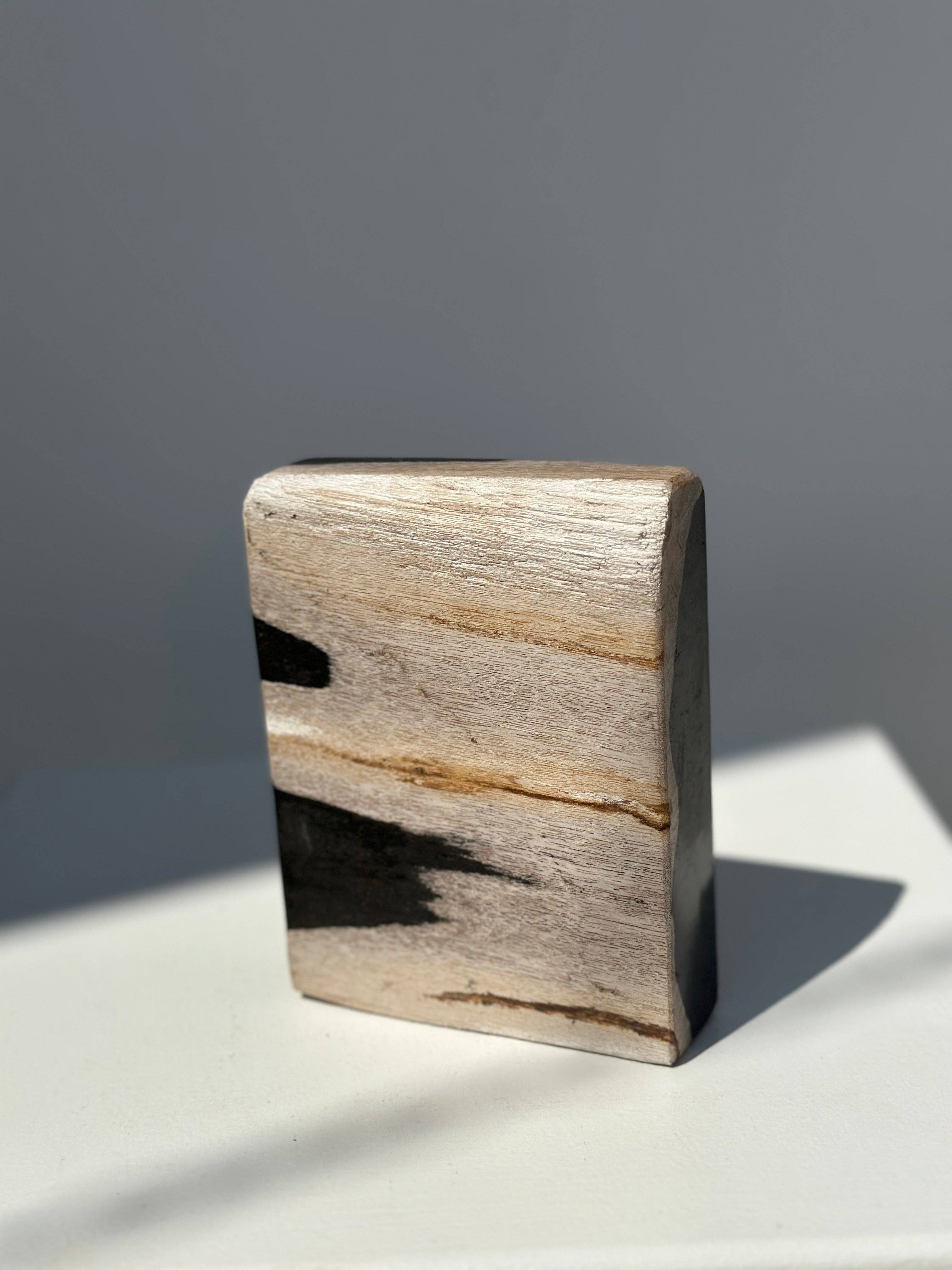 Office Objets - Wholesale Bath Soap Dish - Petrified wood soap dish with white underside11