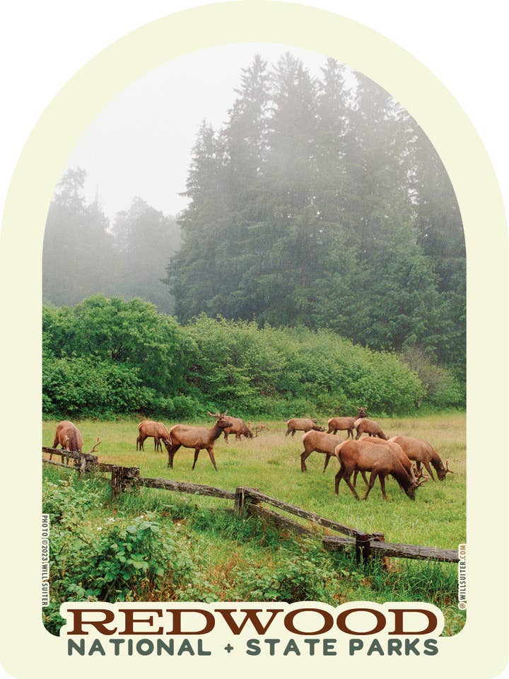 Parc national de Redwood Elk
3,75 x 5 pouces autocollant pour la vente par Will Suiter Photography & Studio