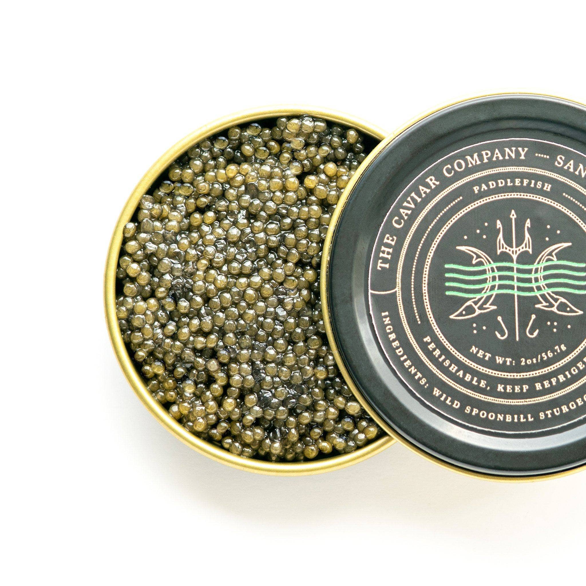 The Caviar Co. - Wholesale Fish/Seafood - Paddlefish Caviar2