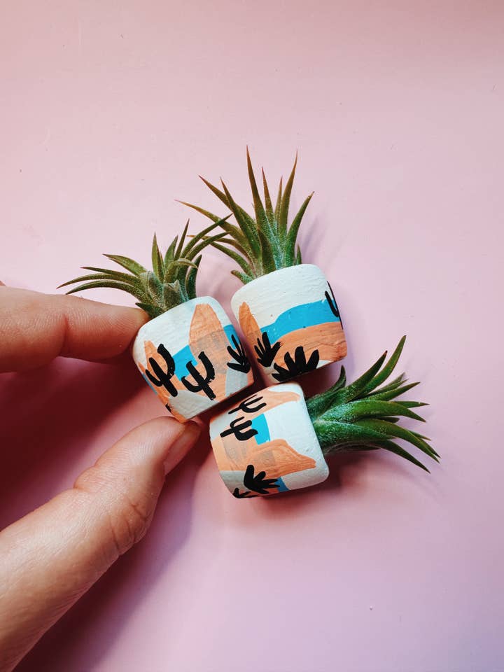 The Winslow Mini Planter for wholesale by O'Berry's Succulents