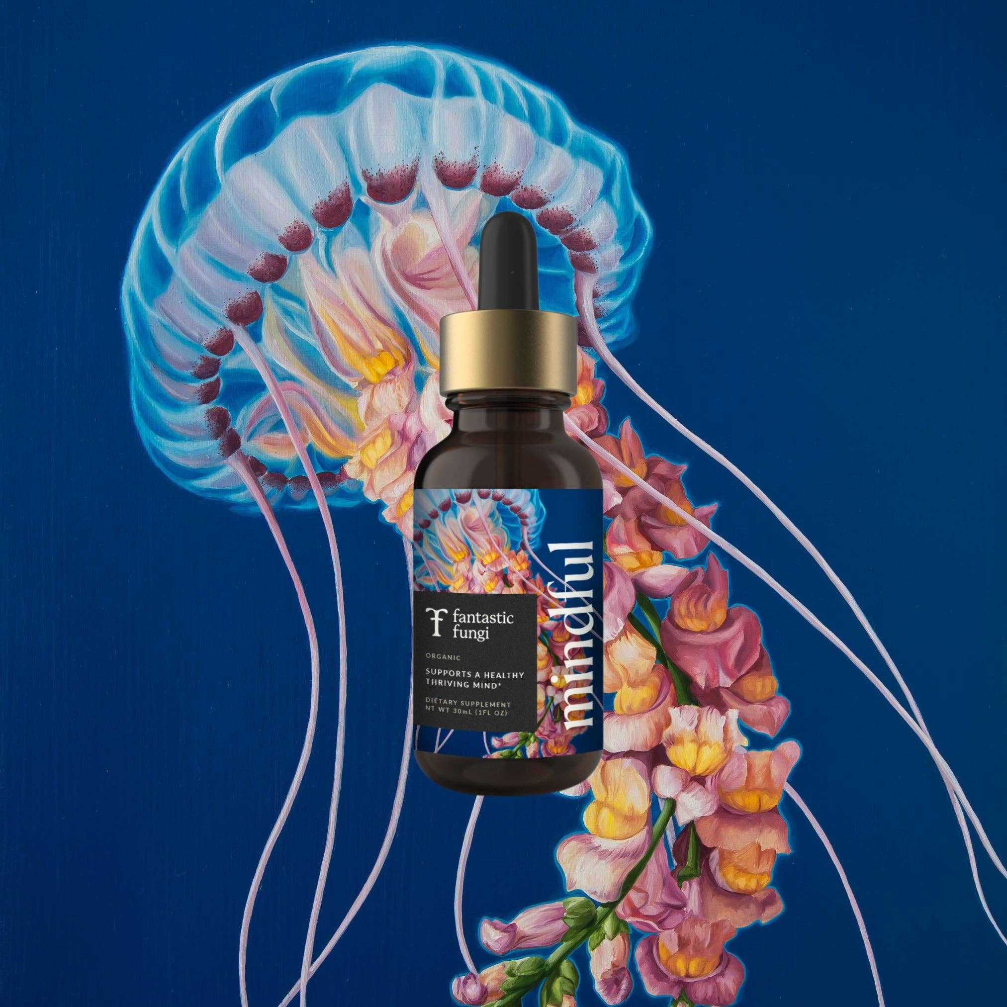 Fantastic Fungi - Wholesale Elixir - Mindful Elixir1