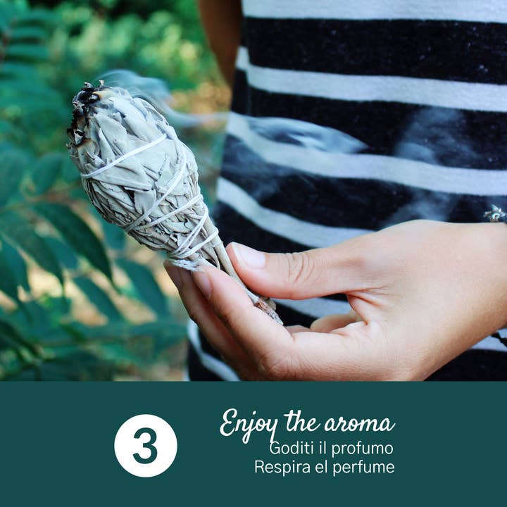 Herborea srl - Wholesale Sage Bundle - White Sage Smudge - 2 pcs5